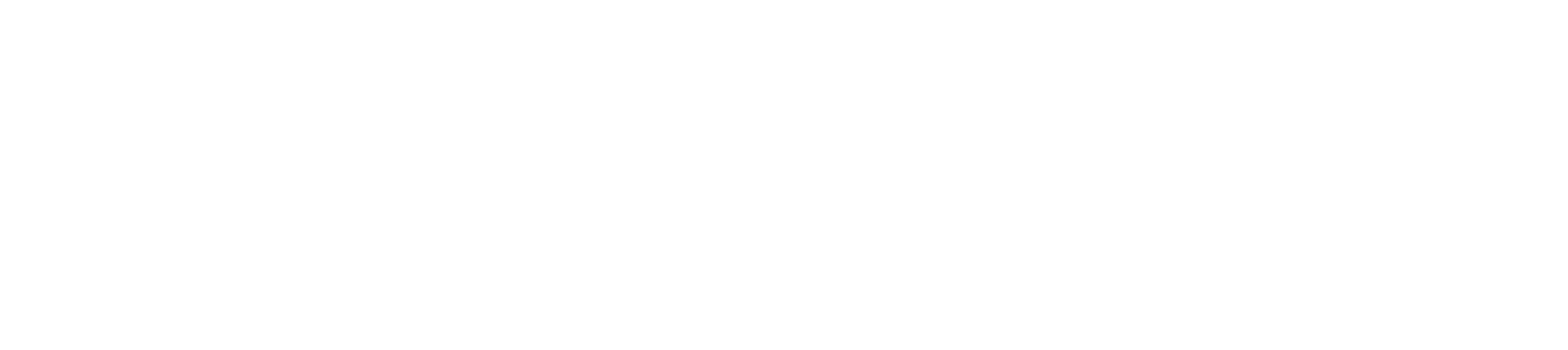 Hathor Network